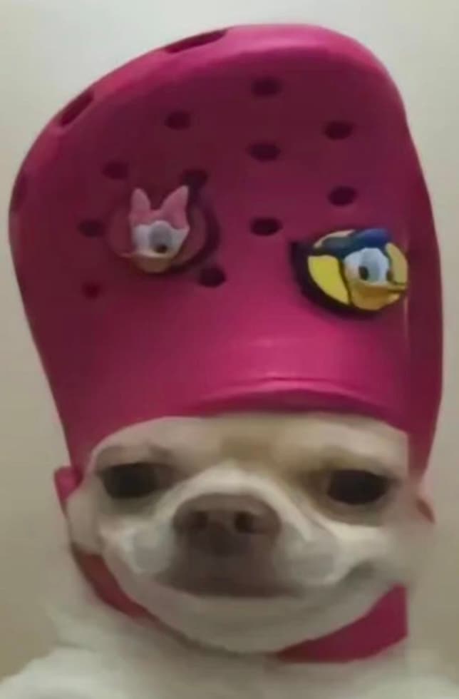 王文遙