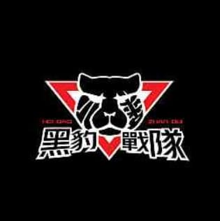 黑豹戰隊
